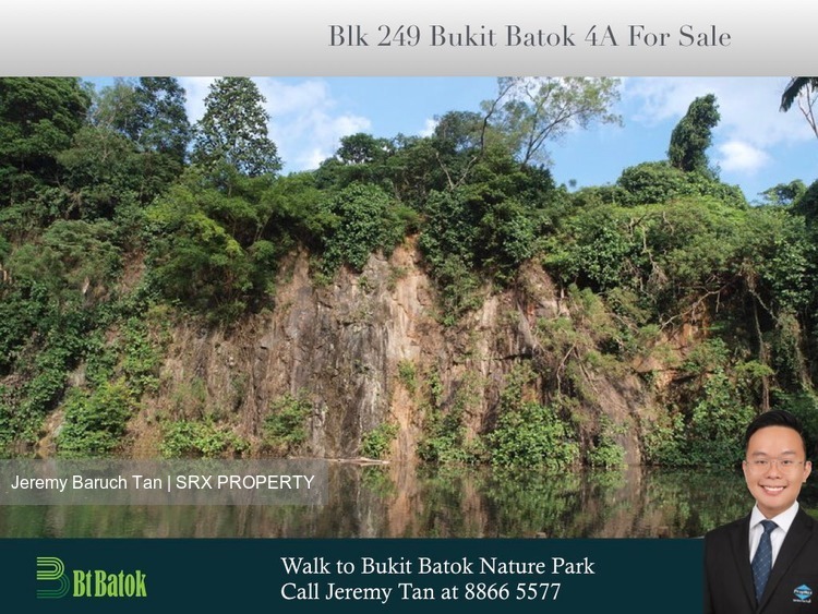 Blk 249 Bukit Batok East Avenue 5 (Bukit Batok), HDB 4 Rooms #189757722
